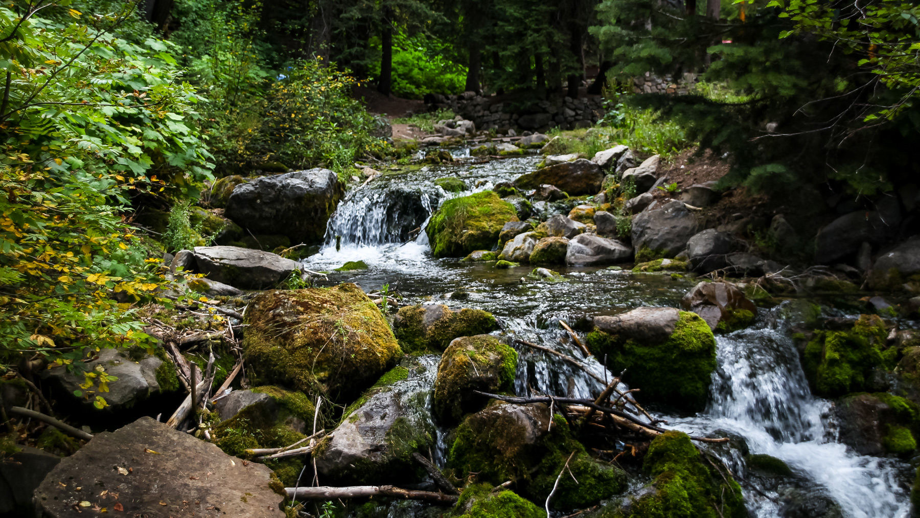 houstonphotographerlandscapenaturefeaturedimage Jeff